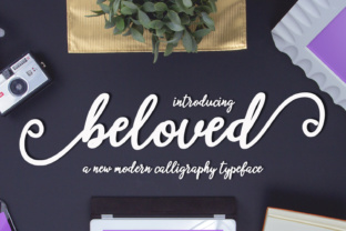 Beloved Script Font: A Designer’s Branding Test