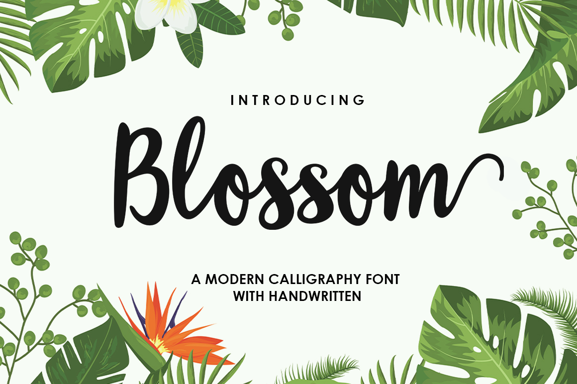 Blossom Script Font: A Designer’s Branding Test