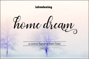 Home Dream Script Font: A Designer’s Branding Test