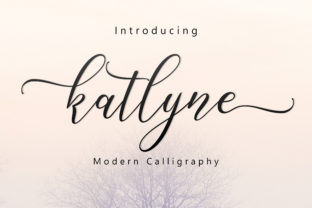 Katlyne Script Font: A Designer’s Campaign Review