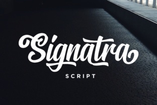 Signatra Script Font for Authentic Business Branding