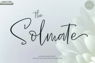 The Solmate Script Font: A Designer’s Branding Test