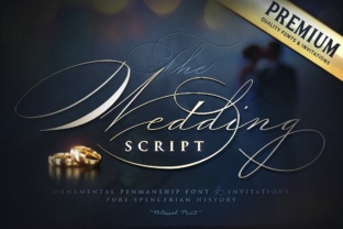 Wedding Script Font: Elevating Campaign Visuals